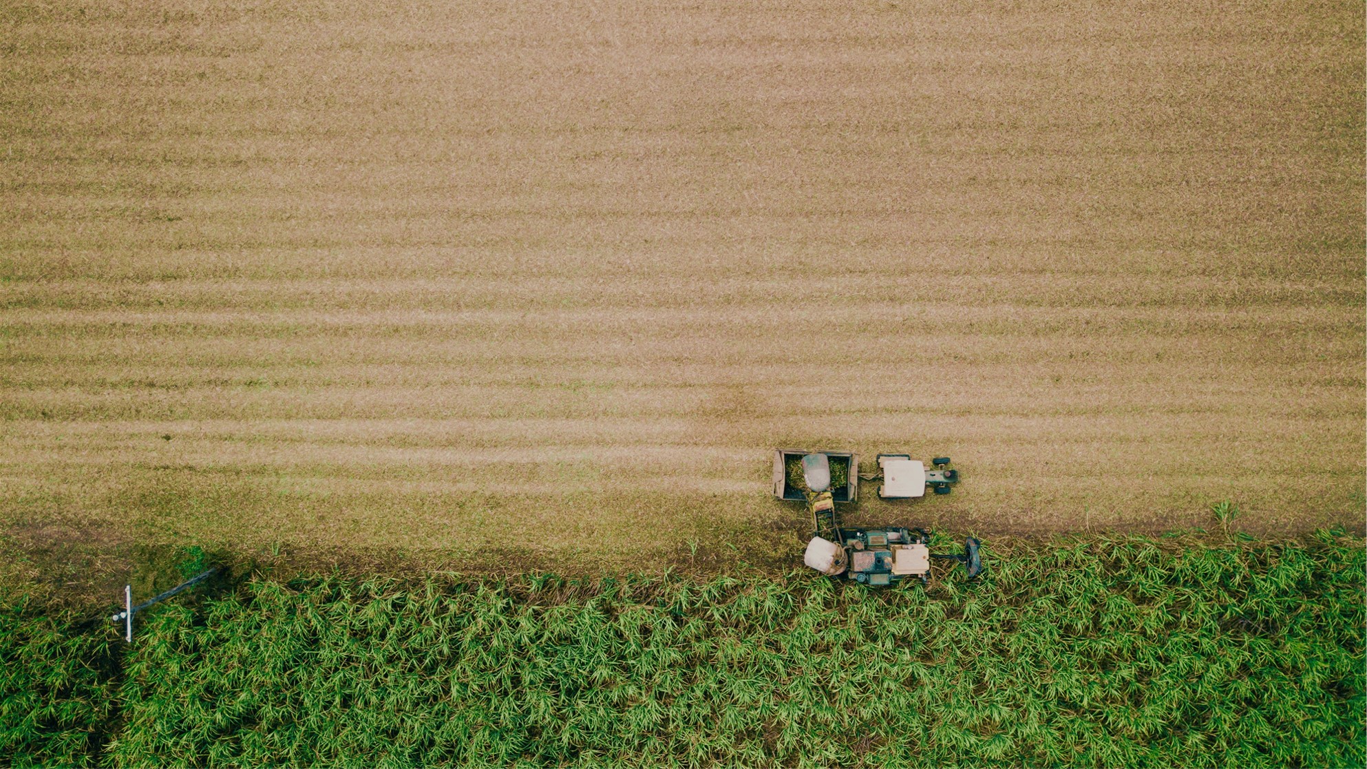 Sugar cane field being harvested by a tractor viewed from above.